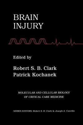 Brain Injury - Clark, Robert S B (Editor), and Kochanek, Patrick (Editor)