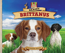 Brainy Brittanys