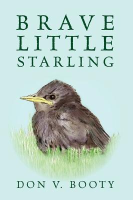 Brave Little Starling - Booty, Don V