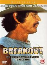 Breakout - Tom Gries