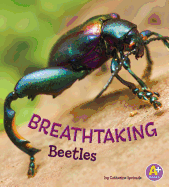 Breathtaking Beetles