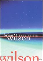 Brian Wilson: Imagination