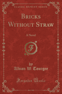 Bricks Without Straw: A Novel (Classic Reprint)