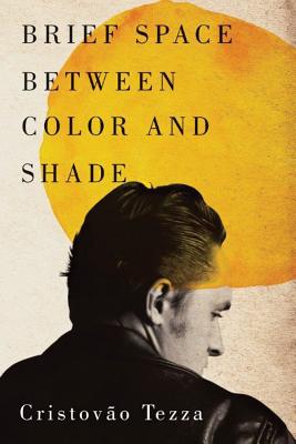 Brief Space Between Color and Shade - Tezza, Cristov�o, and Clarke, Alan R (Translated by)