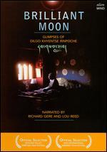 Brilliant Moon