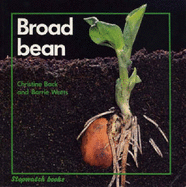 Broad Bean - Watts, Barrie, and Back, Christine