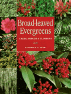 Broad-Leaved Evergreens: Trees, Shrubs & Climbers