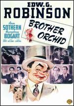 Brother Orchid