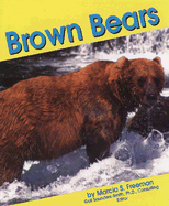 Brown Bears