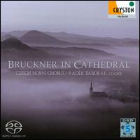 Bruckner in Cathedral - Ales Barta (organ); Czech Horn Chorus; Radek Babor�k; Milos Bok (conductor)