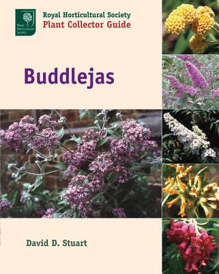 Buddlejas - Stuart, David D