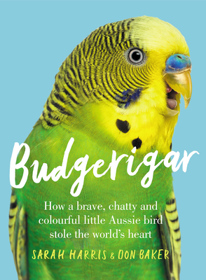 Budgerigar - Harris, Sarah