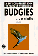 Budgies as a Hobby