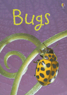 Bugs: Level 1