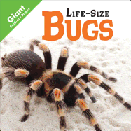 Bugs