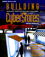 Building Cyberstores