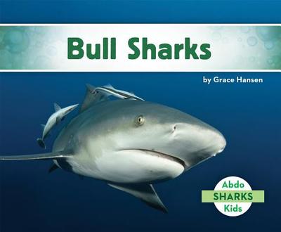 Bull Sharks - Hansen, Grace