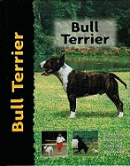 Bull terrier