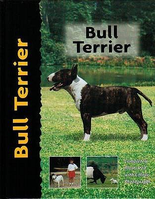 Bull Terrier - Gibson, Bethany