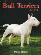 Bull terriers today