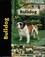 Bulldog