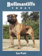 Bullmastiffs today