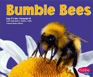 Bumble Bees