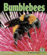 Bumblebees