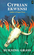 Burning Grass