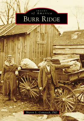 Burr Ridge - Comstock Phd M a, Sharon L