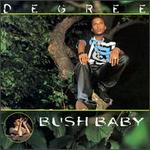 Bush Baby