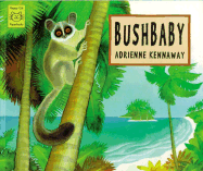 Bushbaby