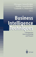 Business Intelligence Techniques: A Perspective from Accounting and Finance
