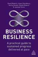 Business Resilience: A Practical Guide to Sustained Progress Delivered at Pace