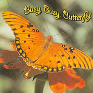 Busy, Busy Butterfly - Carroll, Molly, and Hicks, Kelli