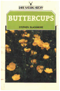 Buttercups