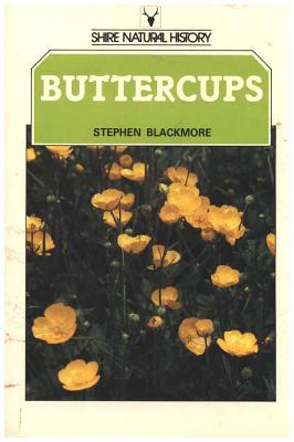 Buttercups - Blackmore, Ste