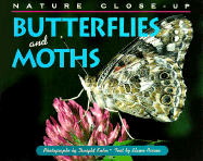 Butterflies and Moths