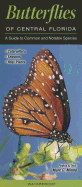 Butterflies Central Florida: A Guide to Common and Notable Species