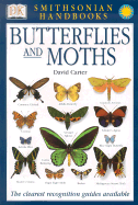 Butterflies & Moths: The Clearest Recognition Guide Available