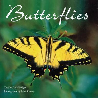 Butterflies - Badger, David (Text by), and Kenney, Brian (Photographer)
