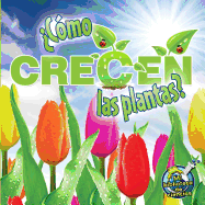 ?c?mo Crecen Las Plantas?: How Do Plants Grow?