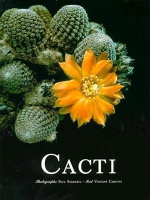 Cacti - Cerutti, Vincent