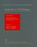 Caenorhabditis Elegans: Modern Biological Analysis of an Organism