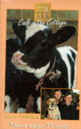 Calf in the Cottage
