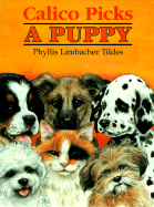 Calico Picks a Puppy