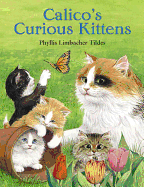 Calico's Curious Kittens