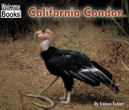 California Condor - Eckart, Edana