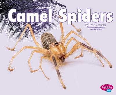 Camel Spiders - Bruno Clapper, Nikki