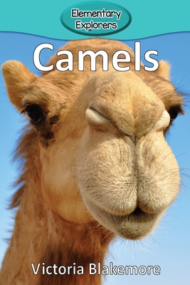 Camels - Blakemore, Victoria